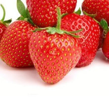 Charger l'image dans la galerie, Fraisiers remontants et non remontants