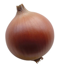 Charger l'image dans la galerie, Oignon jaune Khroma F1