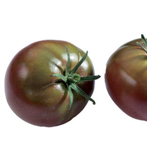 Tomates Noire de crimée variétés anciennes