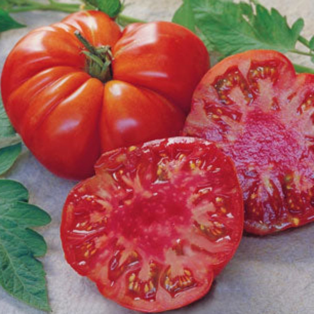 Tomates Tomande F1 type côtelées